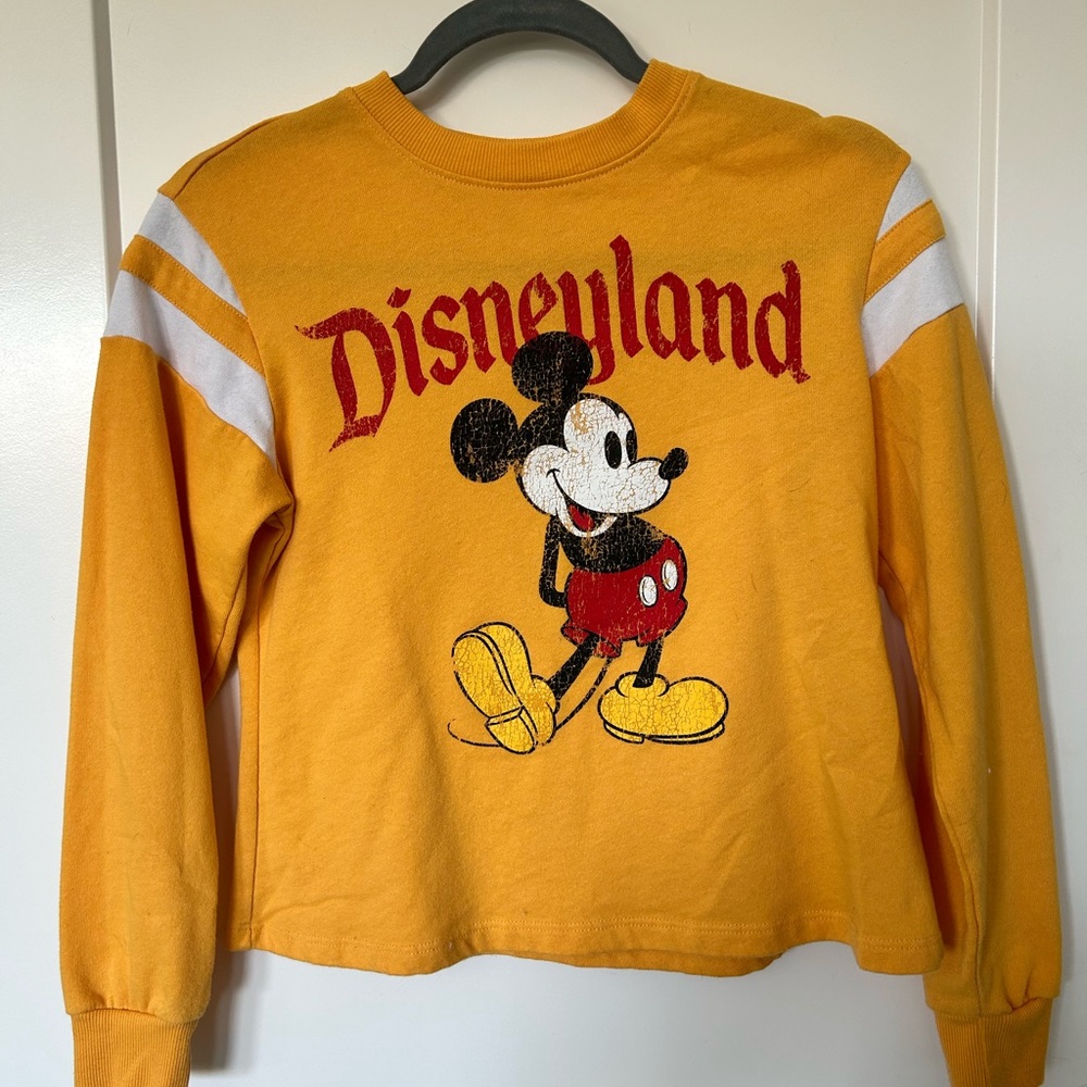 Disney land sweat shirt